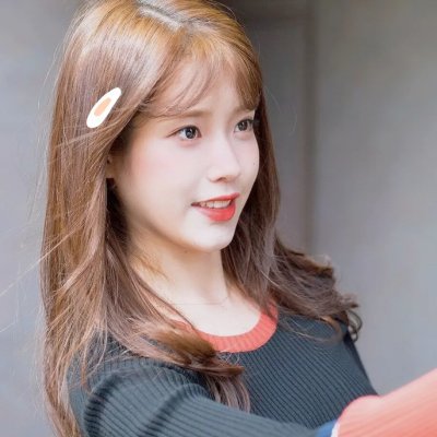 关于灰鸽子的歌